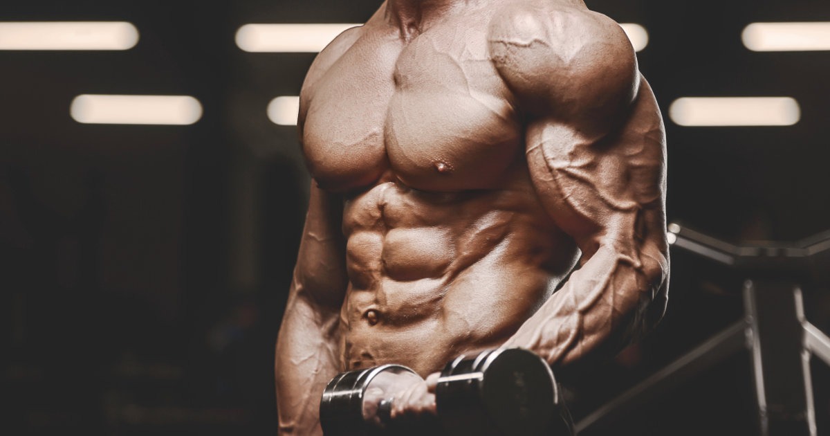 Die besten Cardiogeräte für Bodybuilder | Fitness Insights