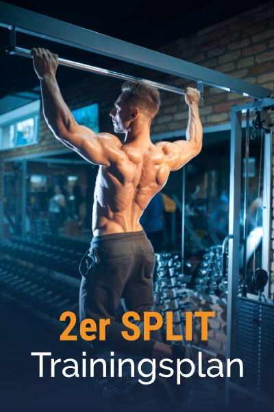 2er-Split Muskelaufbau Trainingsplan kostenlos als PDF herunterladen