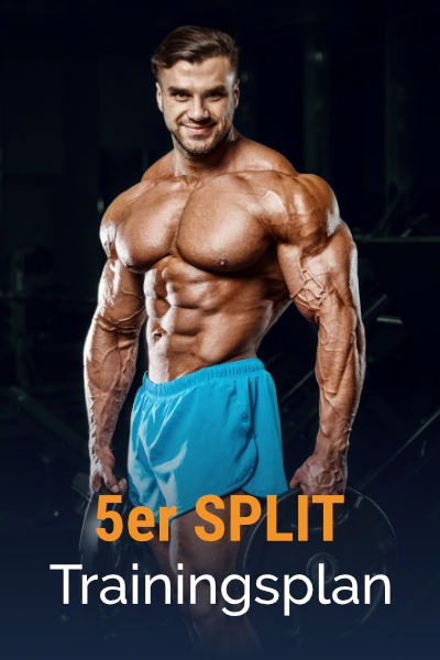 5er-Split Muskelaufbau Trainingsplan kostenlos als PDF herunterladen