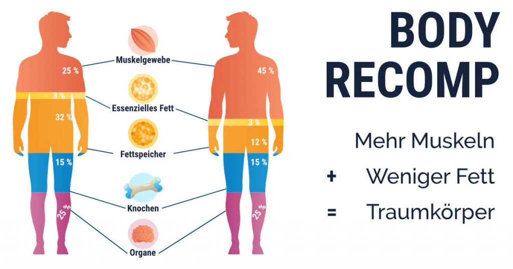 Body Recomposition: Was bedeutet das? Gleichzeitiger Muskelaufbau und Fettabbau