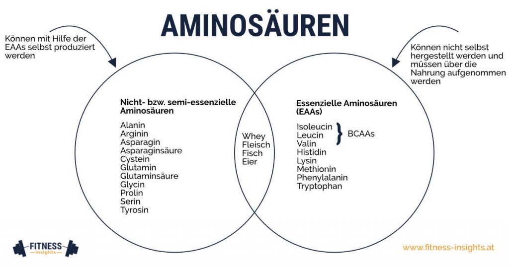 Gegenüberstellung: Essenzielle vs. nicht-essenzielle Aminosäuren