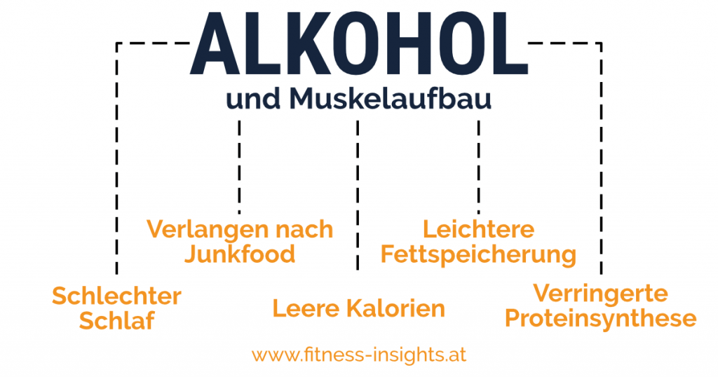 Auswirkungen des Alkohols auf den Muskelaufbau