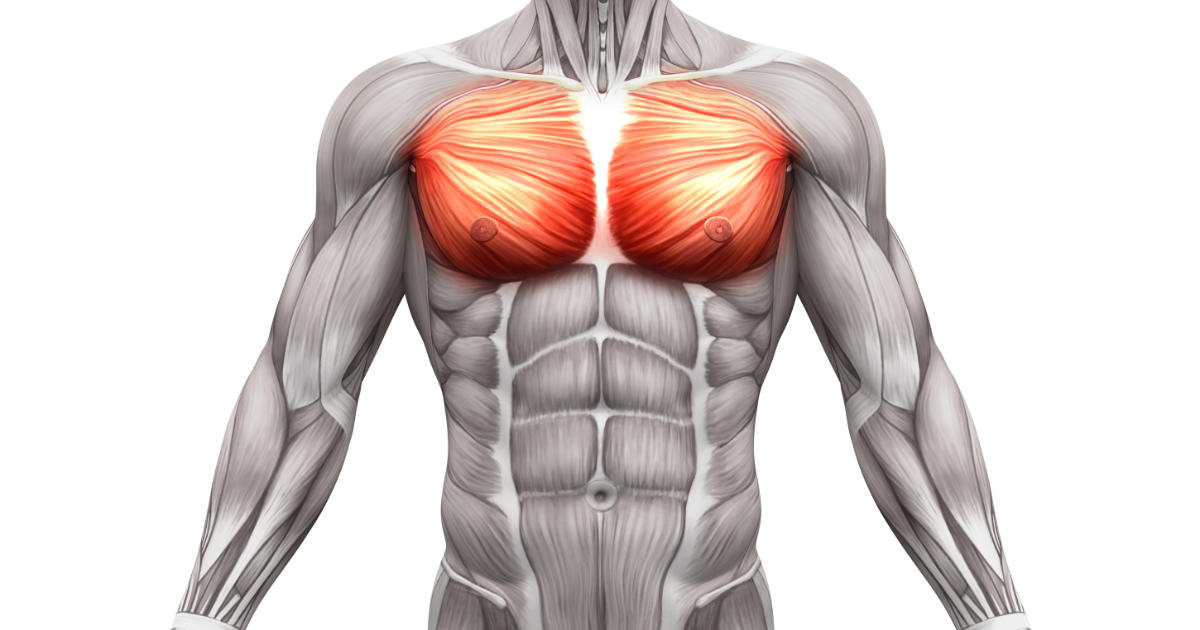 9 fatale Gründe, weshalb deine Brust nicht wächst | Fitness Insights