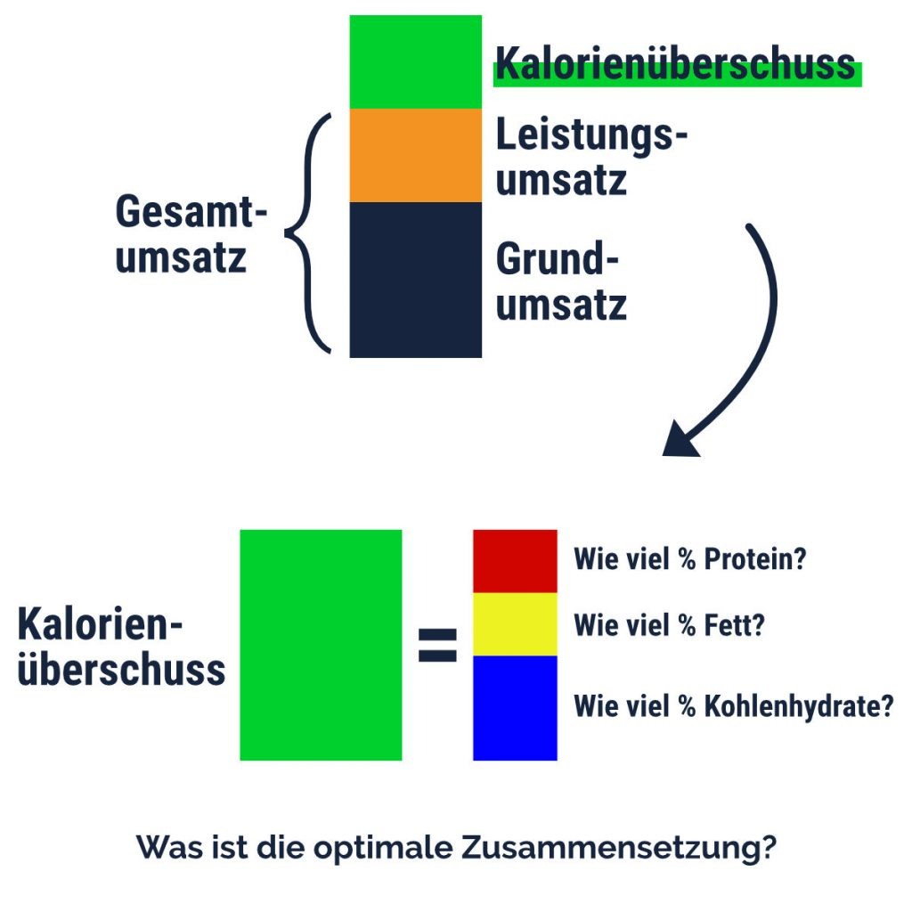 Optimale Makronährstoffzusammensetzung Kalorienüberschuss Muskelaufbau